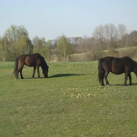 Farm stay Gospodarstwo Agroturystyczne Lesna Polanka Gietrzwald